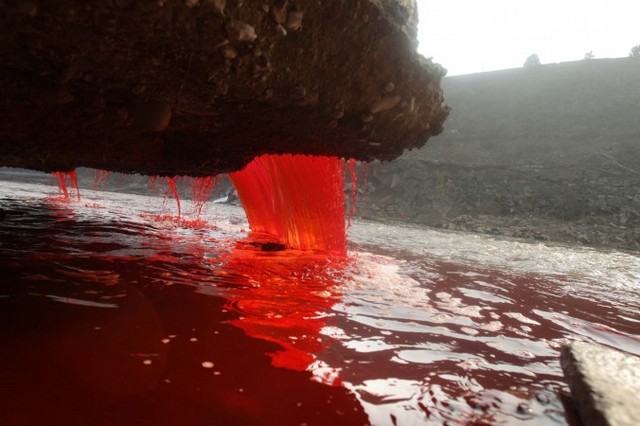 Красная загрязнённая вода течёт из канализации в реку Цзяньхэ в Лояне, северокитайской провинции Хэнань, 13 декабря 2011 года. Причиной того, что река приобрела апокалиптической вид, является то, что два незаконных цеха по производству краски сбрасывали красный краситель в водопроводную сеть города