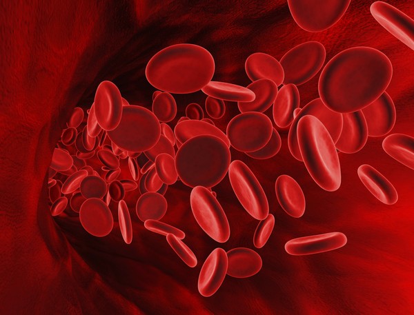 Неймовірні факти: насправді існує 29 груп крові.