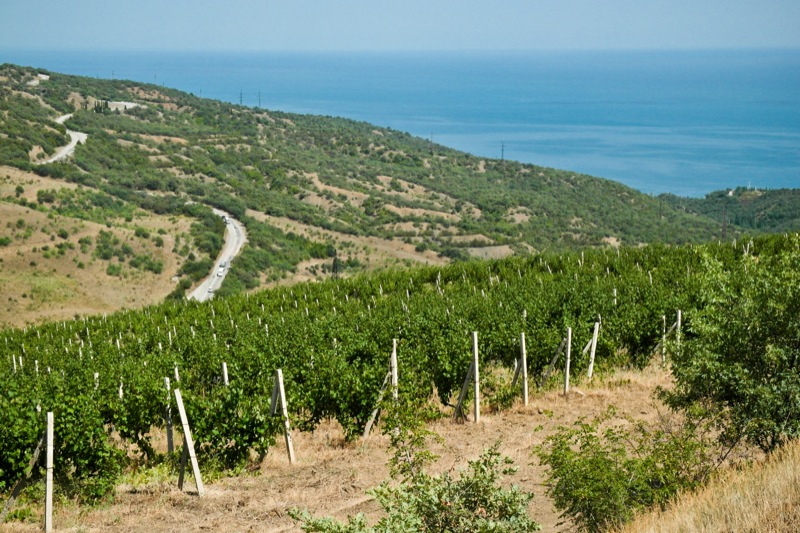 Krymea_009.jpg