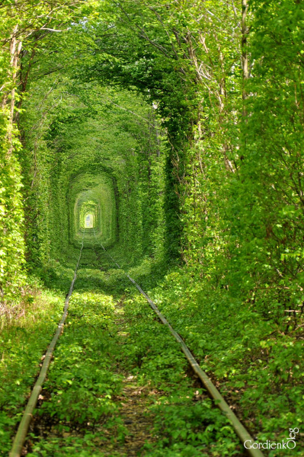 «Туннель любви», Клевань, Украина. Фото: Олег/iloveukraine.com.ua