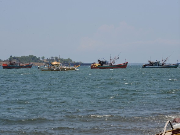 Shoal19052012.jpg