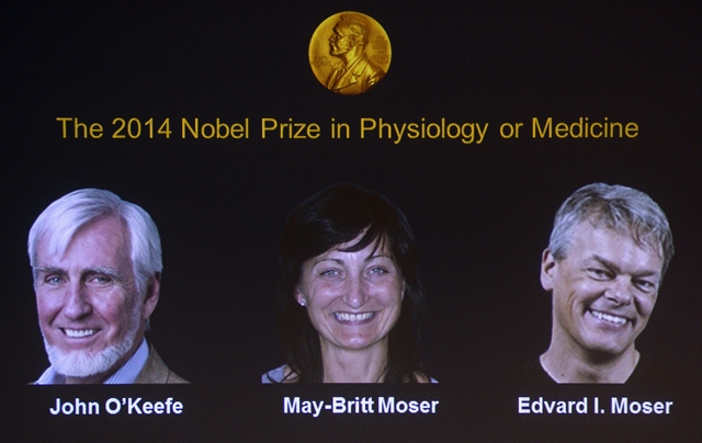 В 2014 году Дж. О’Кифу и супругам Мозер была вручена Нобелевская премия в области физиологии и медицины.