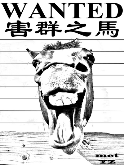 Китайская идиома &laquo;лошадь, которая весь табун портит&raquo; используется, когда хотят сказать о том, кто плохо влияет на свою группу или семью