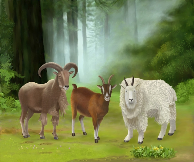 &laquo;Три козы приносят гармонию&raquo; &mdash; одно из самых популярных приветствий в год Козы. При наступлении китайского Нового года Козы китайцы, когда встречаются, приветствуют друг друга такими добрыми пожеланиями. Иллюстрация: СМ Ян/EpochTimes.com.ua