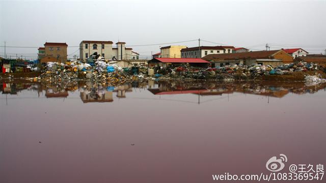Пруд, окрасившийся в розовый цвет из-за загрязнения от расположенного рядом завода пластиковых отходов, в северокитайской провинции Хэбэй, 22 октября 2014 года