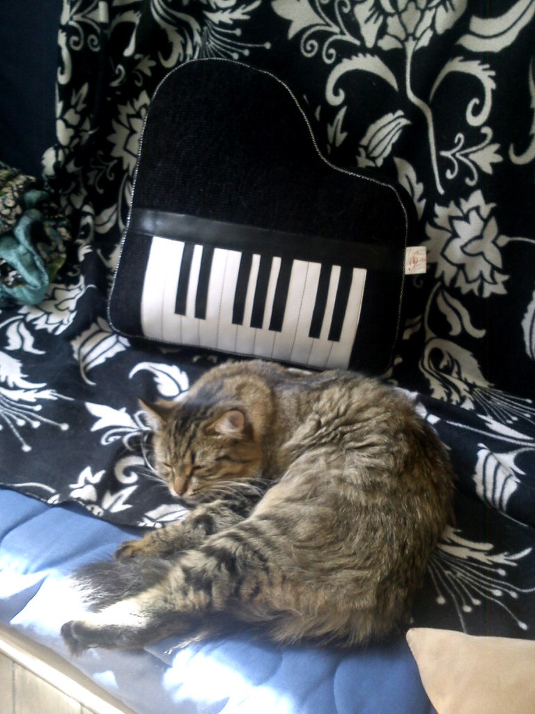 tnR-s0XylLI.jpg