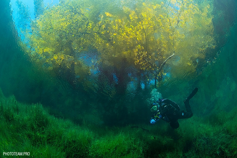 (Віктор Лягушкін/phototeam.pro)