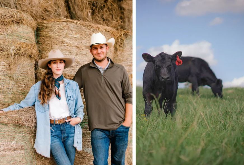 (Л) Ейвері Клер та її чоловік позують поруч зі скиртами сіна; (П) Теля дивиться на фотографа на тлі корів на фермі (Courtesy of Avery Claire)