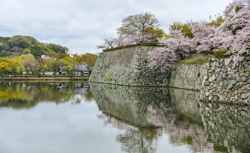 Фортеця на пагорбі Хімеяма: історія замку Хімедзі (ФОТО)