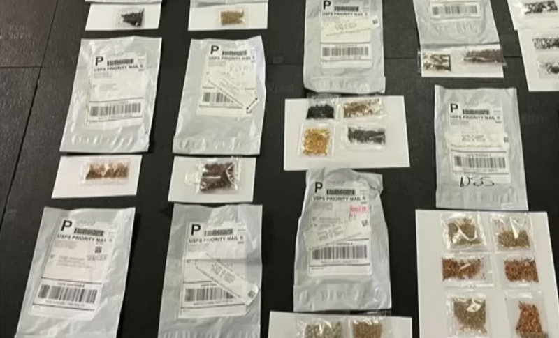 (Youtube/скриншот)