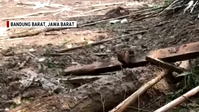 (Youtube/скриншот)