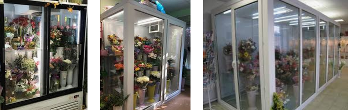 холодильная камера для цветов
