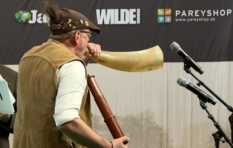 (Youtube/скриншот)