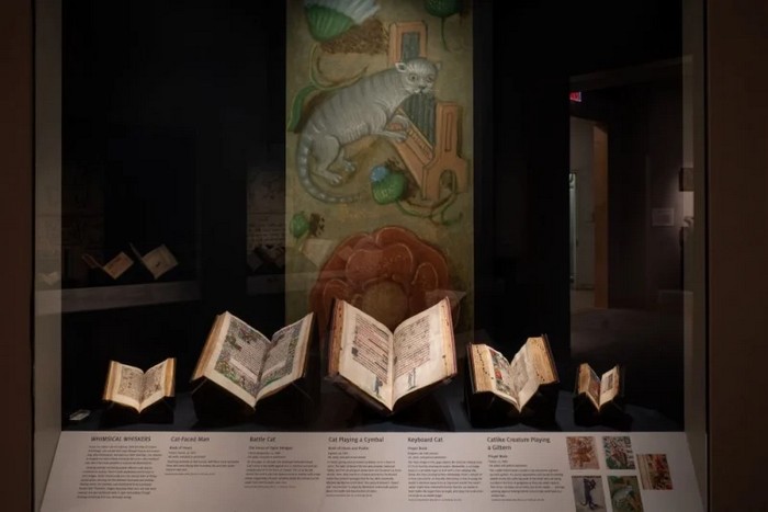Выставка «Лапы на пергаменте» в Музее искусств Уолтерса исследует изображение кошек в средневековых рукописях и многочисленные роли, которые они играли в обществе того времени. (photo: Walters Art Museum, Baltimore)