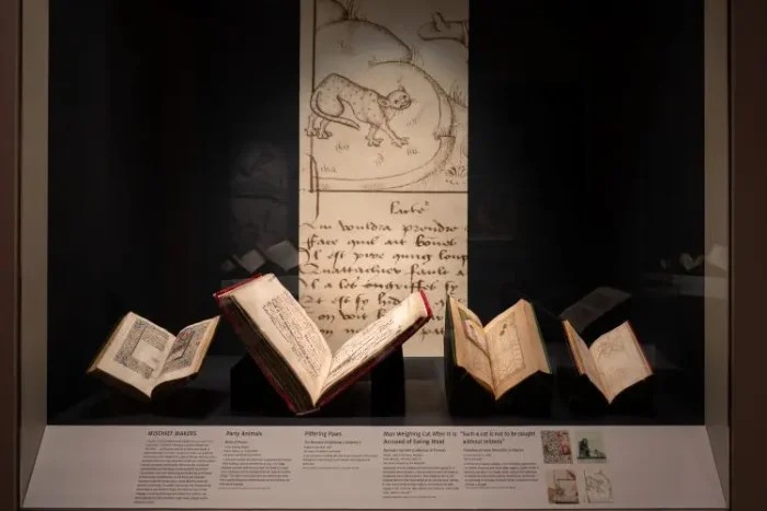 Средневековые иллюстрации часто изображают охотящихся на мышей котов, что свидетельствует об их важной роли в борьбе с грызунами. (Walters Art Museum, Baltimore)