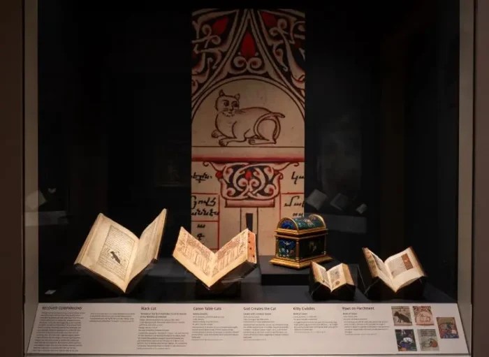 В исламской культуре коты широко почитались за их элегантность и аккуратность. (Walters Art Museum, Baltimore)