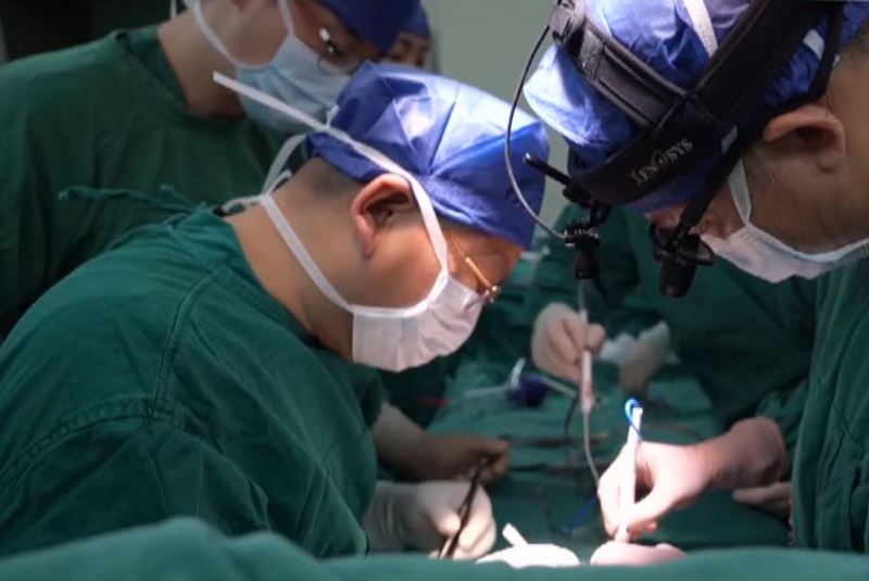 (Youtube/скриншот)