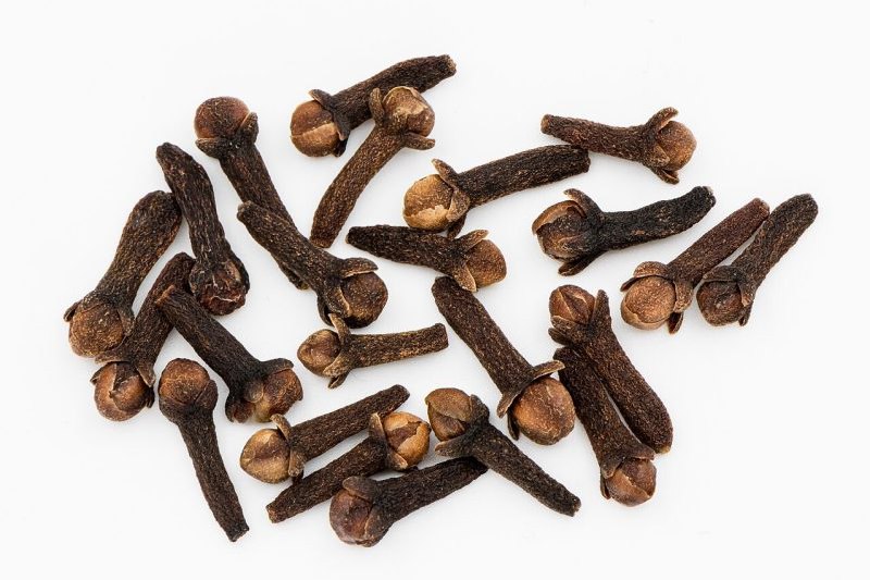 (Photo: CC BY-SA 4.0)