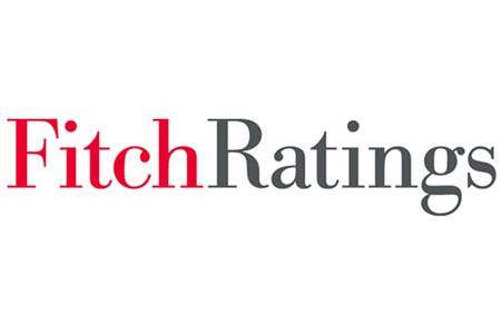 Агентство Fitch понизило рейтинг Киева до «преддефолтного». Иллюстрация: fitchratings.com