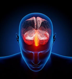 Странные и необычные расстройства мозга напоминают нам о том, как невообразимо сложно устроен человеческий мозг. Фото: Ars Electronica/flickr.com