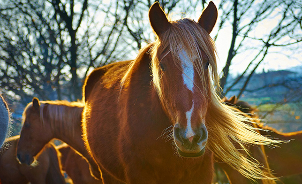 Ілюстративне фото: Moyan Brenn/Flickr.com