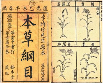 Титульный лист и страница из книги Ли Шичжэня «Бэнь цао ган му» («Трактат о корнях и травах». Фото: recept.znate.ru