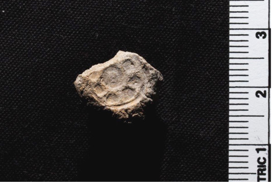 Одна из найденных древних печатей. Фото: Nathaniel Greene/University of Wisconsin