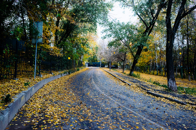 Ілюстративне фото: Anton Strogonoff/Flickr.com