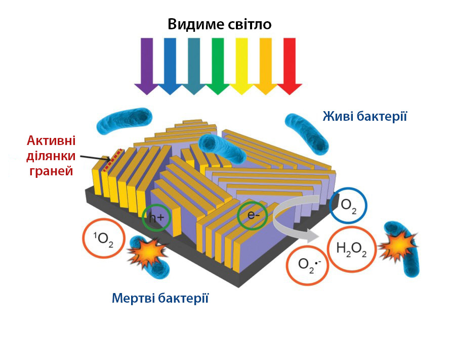 Схема показує процес поглинання пристроєм сонячного світла і утворення реакції з оточуючою водою. Фото: inhabitat.com
