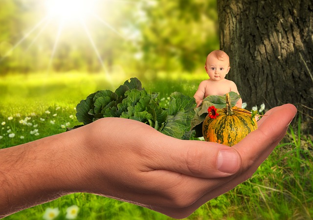 Фото: pixabay.com полезное питание