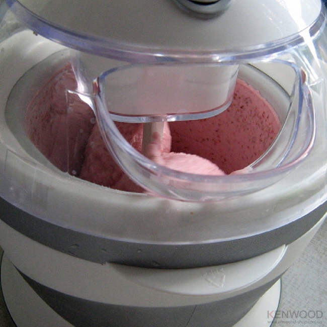 ice cream maker