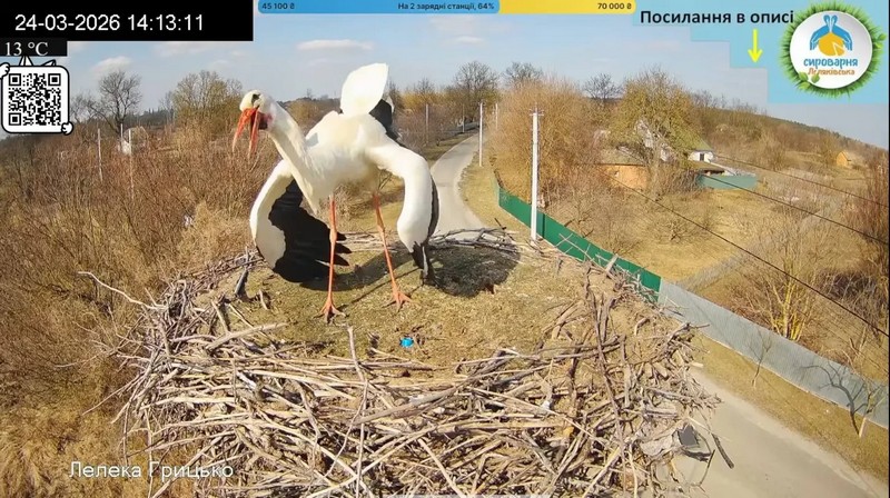 «Полтавська думка»