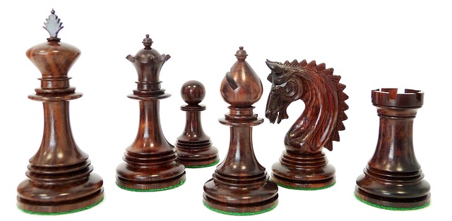 игра в шахматы