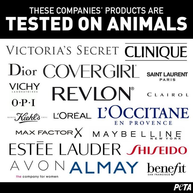 Фото: peta.org