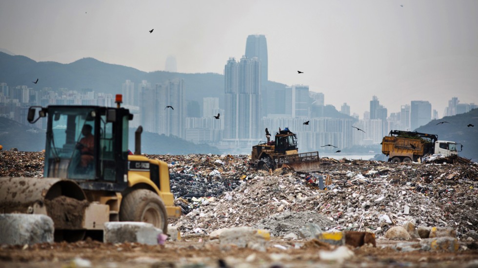 Фото: cdn1.i-scmp.com