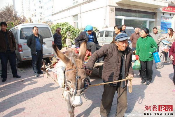 Літніх селян представники влади грубо вигнали з вулиці за «незаконну» торгівлю овочами. Фото з tianya.cn