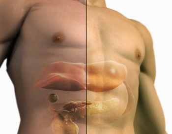 Всім відомий антиоксидант - вітамін Е може істотно поліпшити стан пацієнтів з жировою дистрофією печінки. Фото: 3D4Medical.com/Getty Images