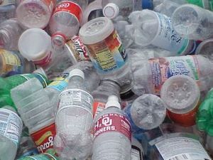 Пластик з біополімерів. Фото з ecofriend.org
