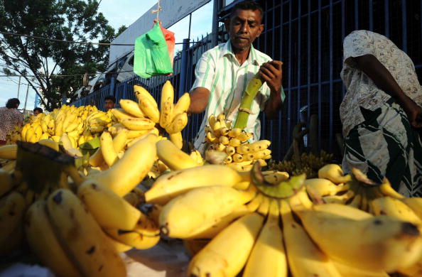 Житель Шрі-Ланки продає банани на ринку в Коломбо. Фото: LAKRUWAN WANNIARACHCHI /AFP / Getty Images 