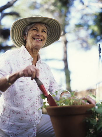 Садоводство: исследование показало, что позитивное отношение к жизни присуще пожилым любителям садово-огородных работ. Фото: Photos.com