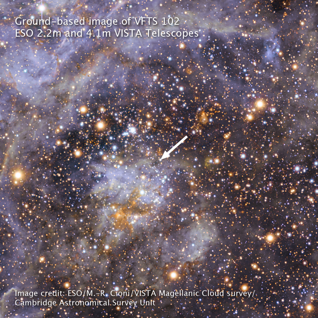 В карликовій галактиці Велика Магелланова Хмара за 160 тисяч світлових років від Землі було знайдено незвичайну зірку VFTS 102. Фото: hubblesite.org