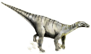 Игуанодон. Результаты ряда исследований показывают, что динозавры по температуре тела были ближе к млекопитающим, чем к рептилиям, как считалось до сих пор