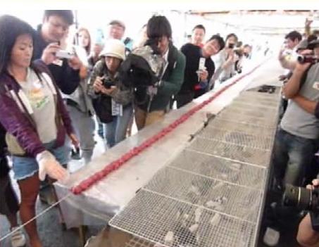 Приготовление более 100-метрового шашлыка (кебаб). Фото: 47news.jp
