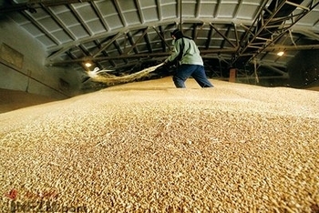 Многие государственные зернохранилища в Китае могут оказаться пустыми. Фото с epochtimes.com