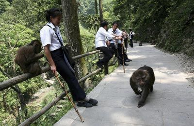 Фото: China Photos/Getty Images