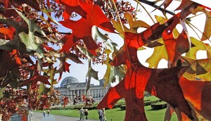 Фото: Getty Images