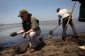 Произошел разлив нефти на пляжах Одессы и Одесской области. 250 тонн смолистой грязи волнами выбросило на берег. Фото: John Moore/Getty Imges