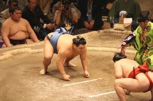 Фото: japan-sumo.ru