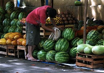 Летний сезон 2011 будет богат дешевыми арбузами и дынями. Фото: Norberto Duarte/Getty Images