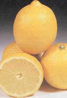 Лимоны. Фото: doctorlemon.com